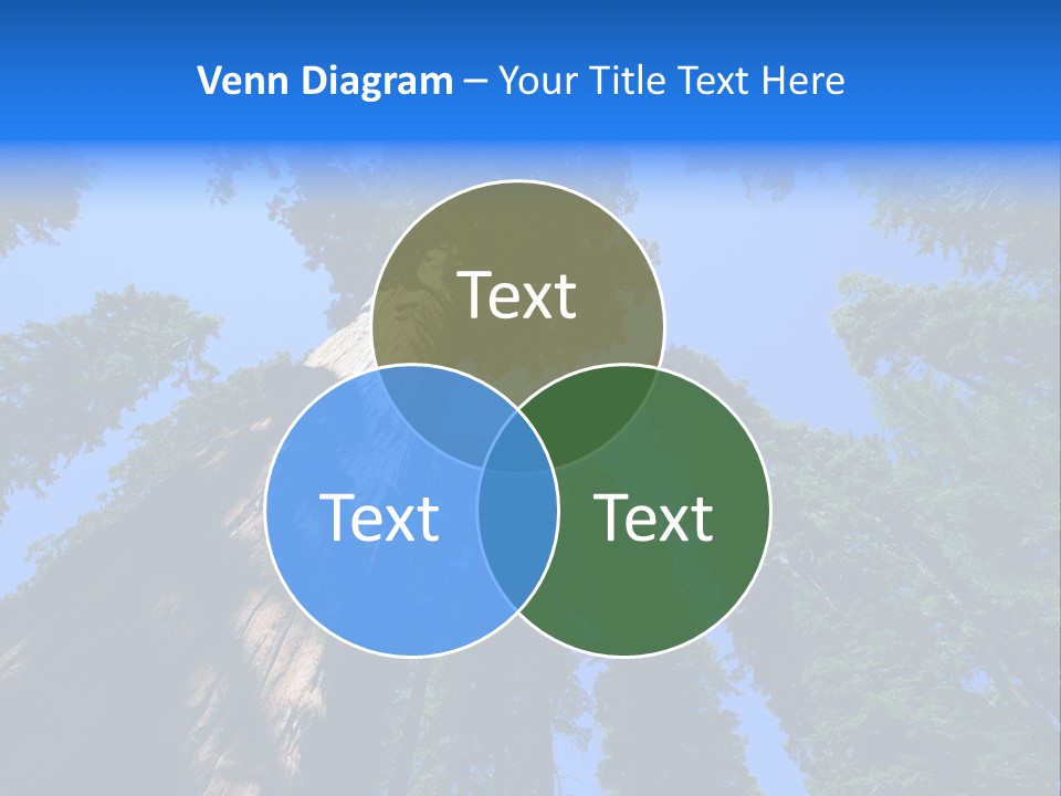 Beautiful Huge Height PowerPoint Template