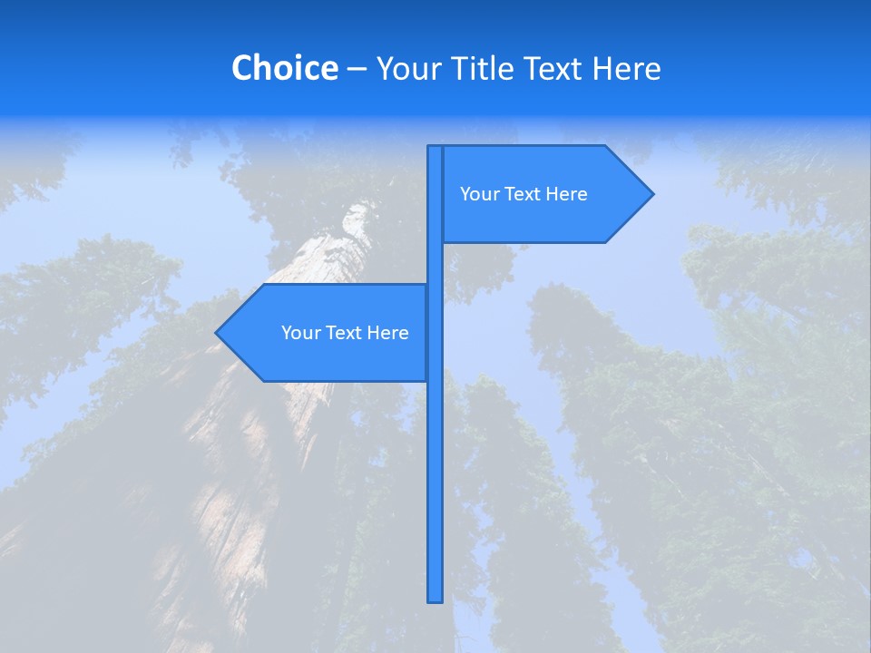 Beautiful Huge Height PowerPoint Template