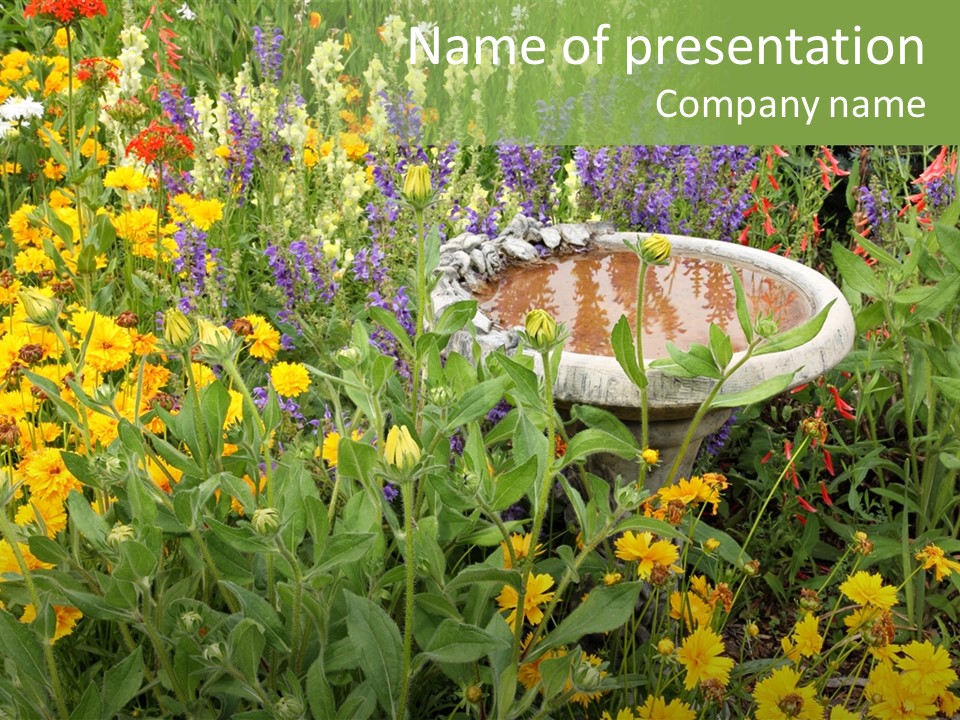 Beauty Pretty Garden PowerPoint Template