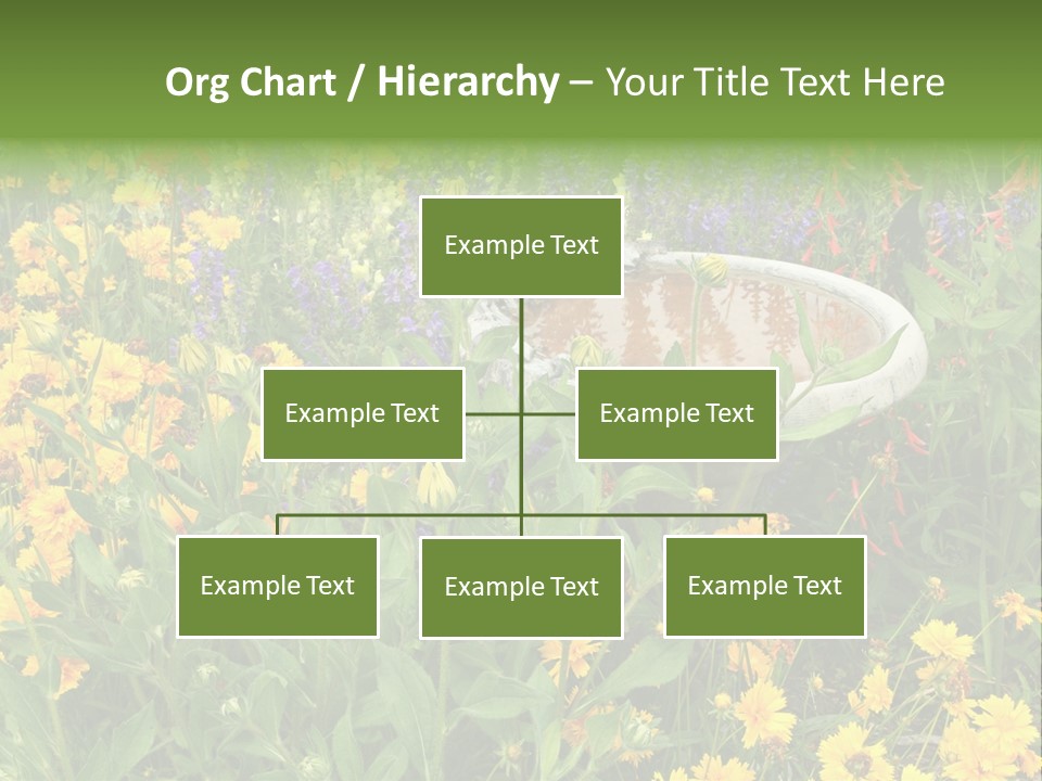 Beauty Pretty Garden PowerPoint Template