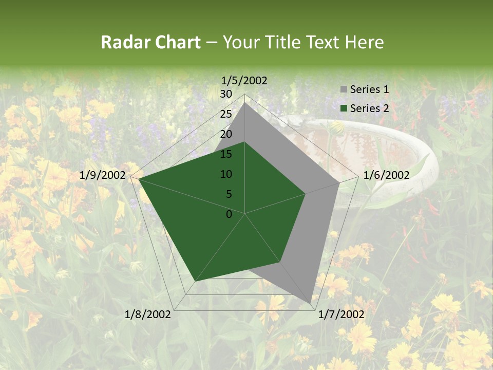 Beauty Pretty Garden PowerPoint Template