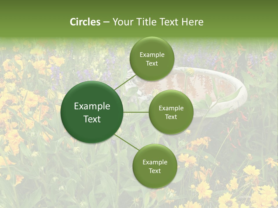 Beauty Pretty Garden PowerPoint Template