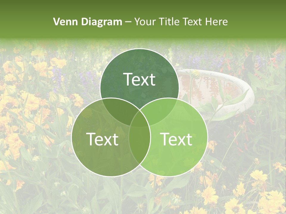 Beauty Pretty Garden PowerPoint Template