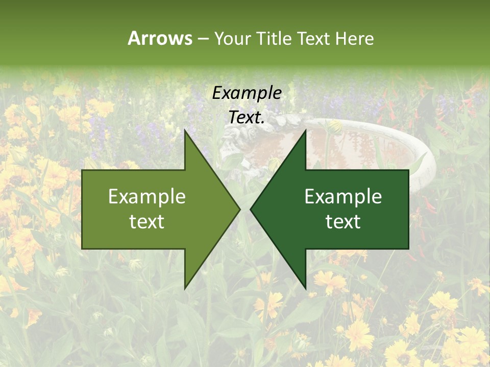 Beauty Pretty Garden PowerPoint Template
