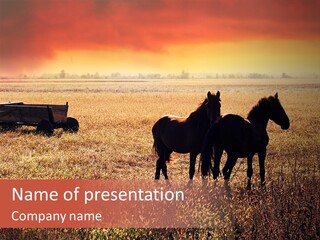 Herd Two Ranch PowerPoint Template
