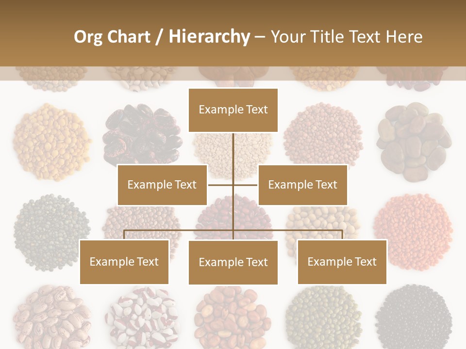Health Brown Collection PowerPoint Template