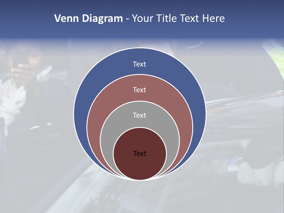 Japanese Leaves Natural PowerPoint Template