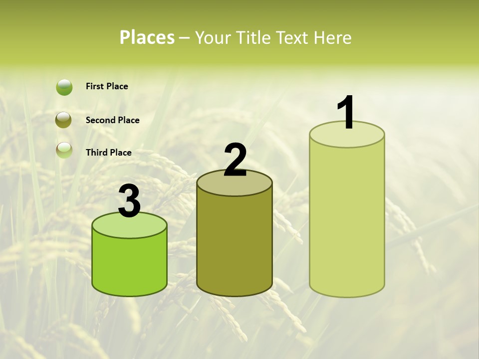 Japanese Leaves Natural PowerPoint Template