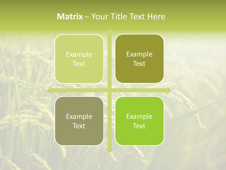 Japanese Leaves Natural PowerPoint Template