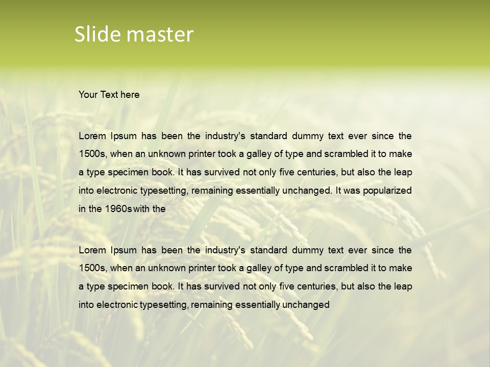 Japanese Leaves Natural PowerPoint Template