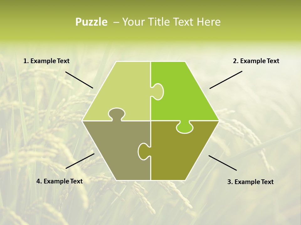 Japanese Leaves Natural PowerPoint Template