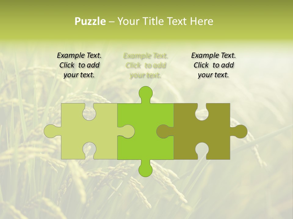 Japanese Leaves Natural PowerPoint Template