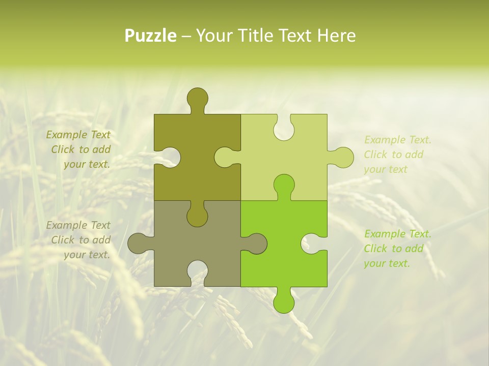 Japanese Leaves Natural PowerPoint Template