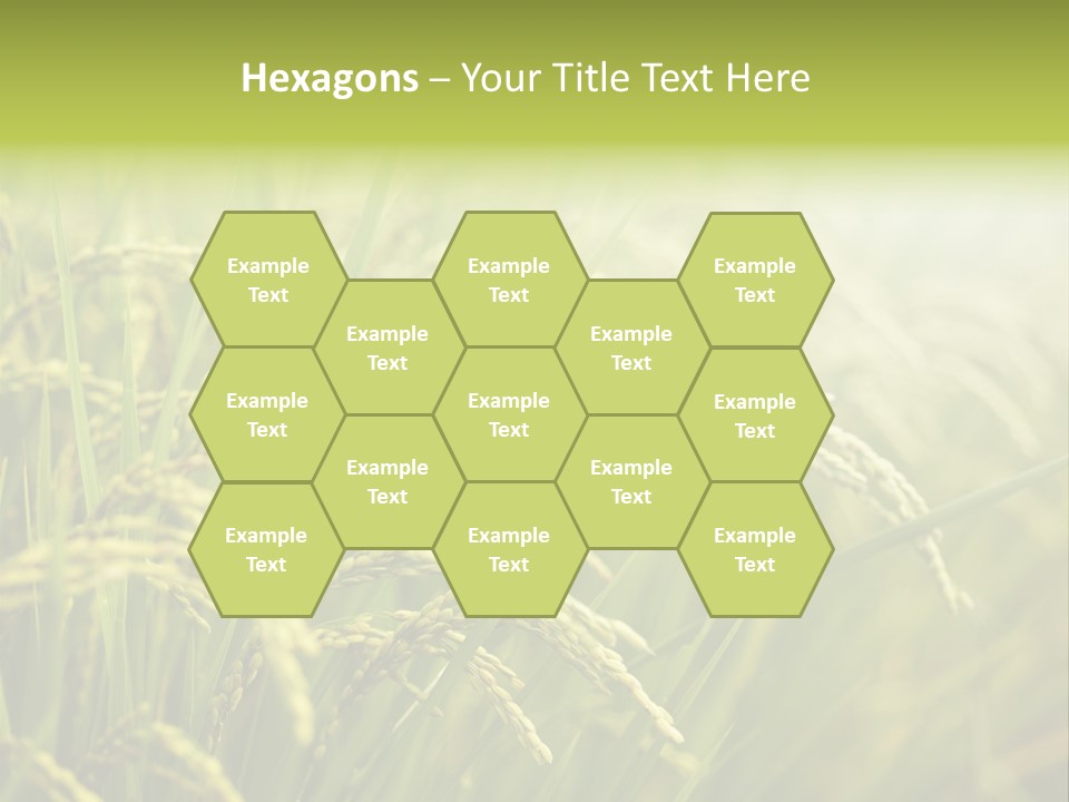 Japanese Leaves Natural PowerPoint Template