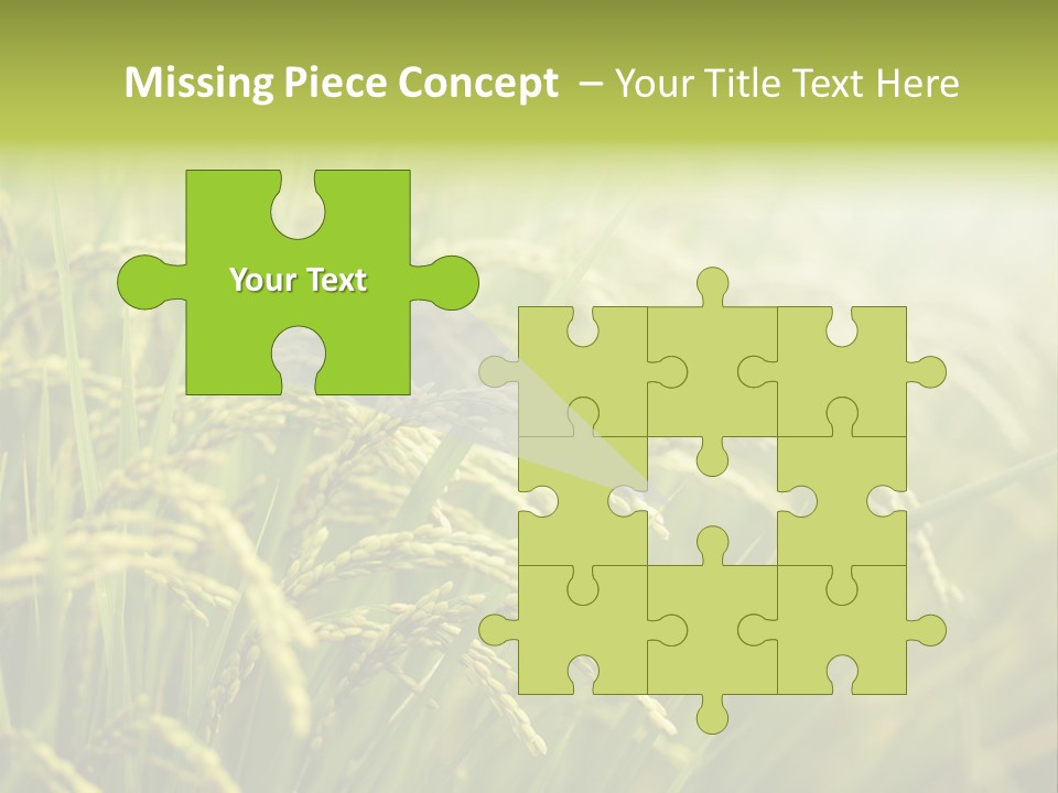 Japanese Leaves Natural PowerPoint Template