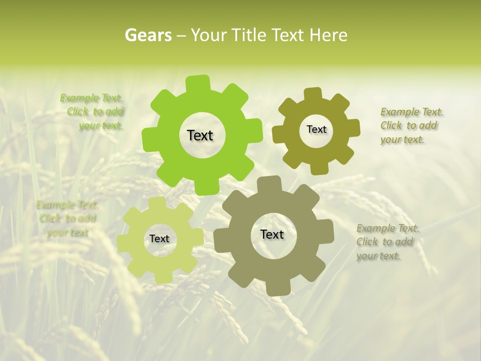 Japanese Leaves Natural PowerPoint Template