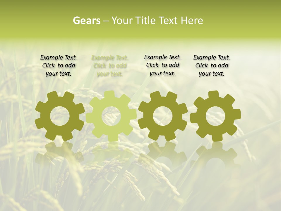 Japanese Leaves Natural PowerPoint Template