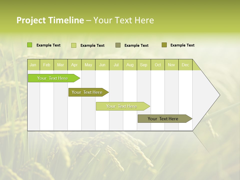Japanese Leaves Natural PowerPoint Template