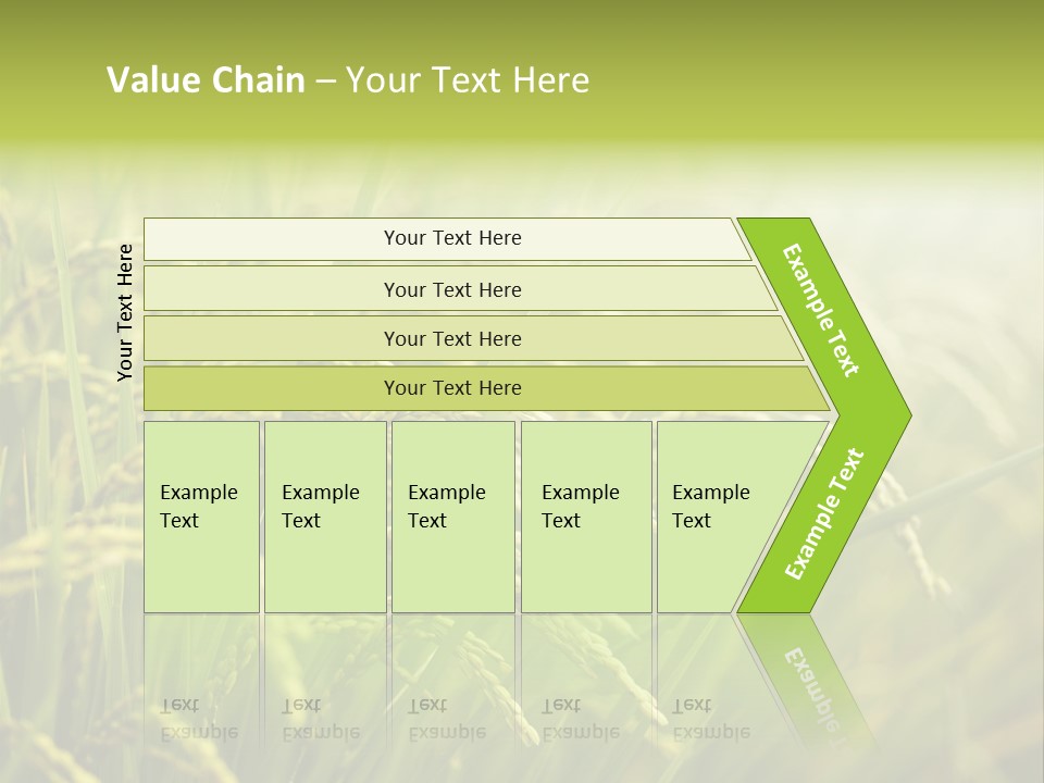 Japanese Leaves Natural PowerPoint Template