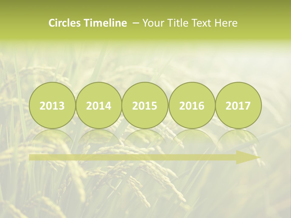 Japanese Leaves Natural PowerPoint Template