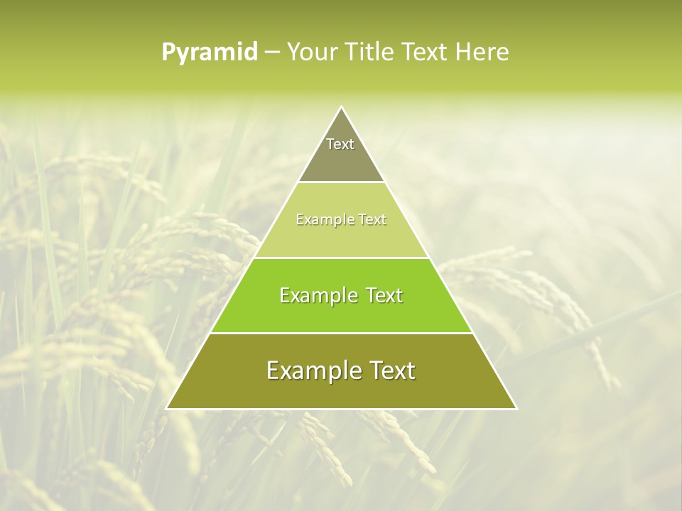 Japanese Leaves Natural PowerPoint Template