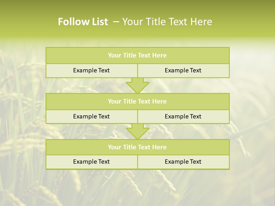 Japanese Leaves Natural PowerPoint Template