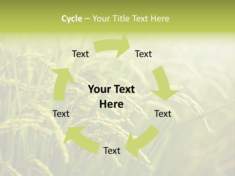 Japanese Leaves Natural PowerPoint Template