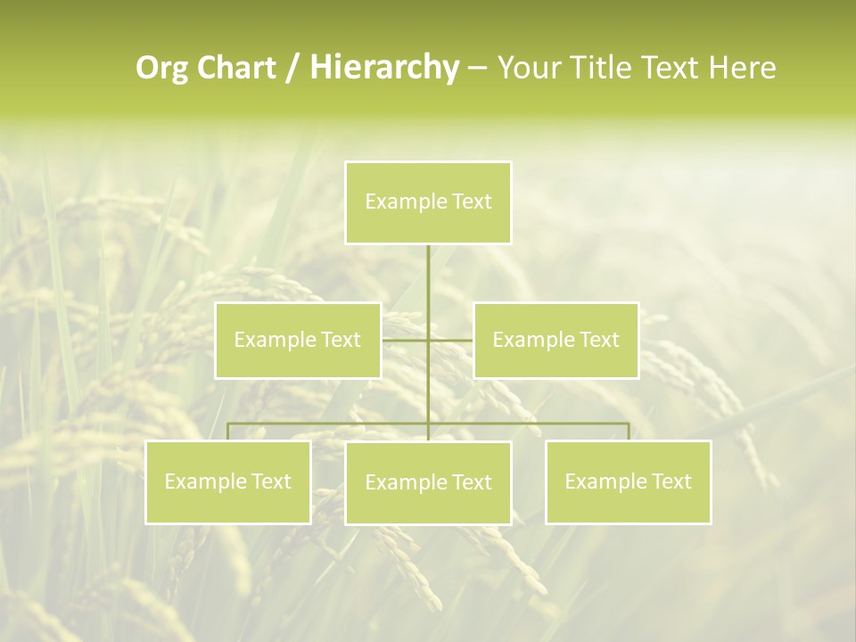 Japanese Leaves Natural PowerPoint Template
