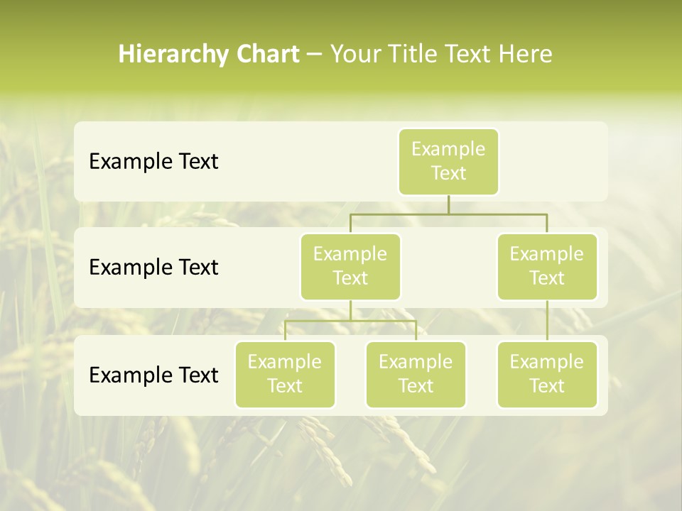 Japanese Leaves Natural PowerPoint Template