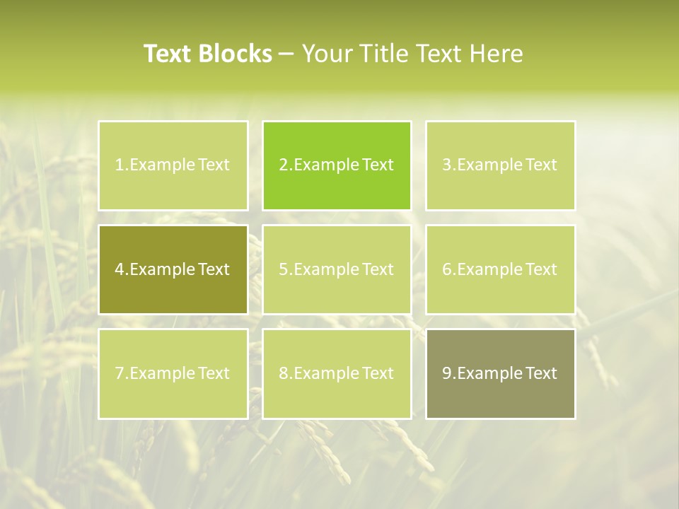 Japanese Leaves Natural PowerPoint Template