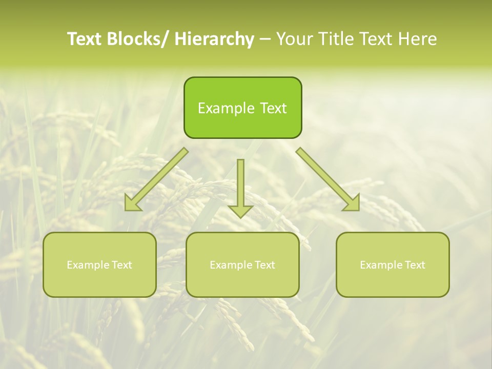 Japanese Leaves Natural PowerPoint Template