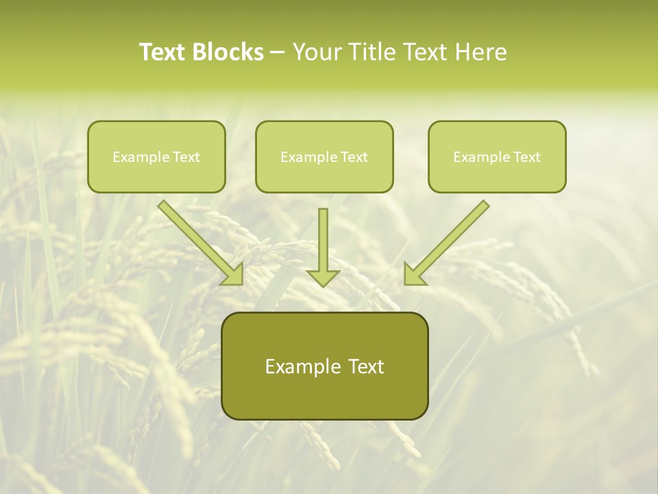 Japanese Leaves Natural PowerPoint Template