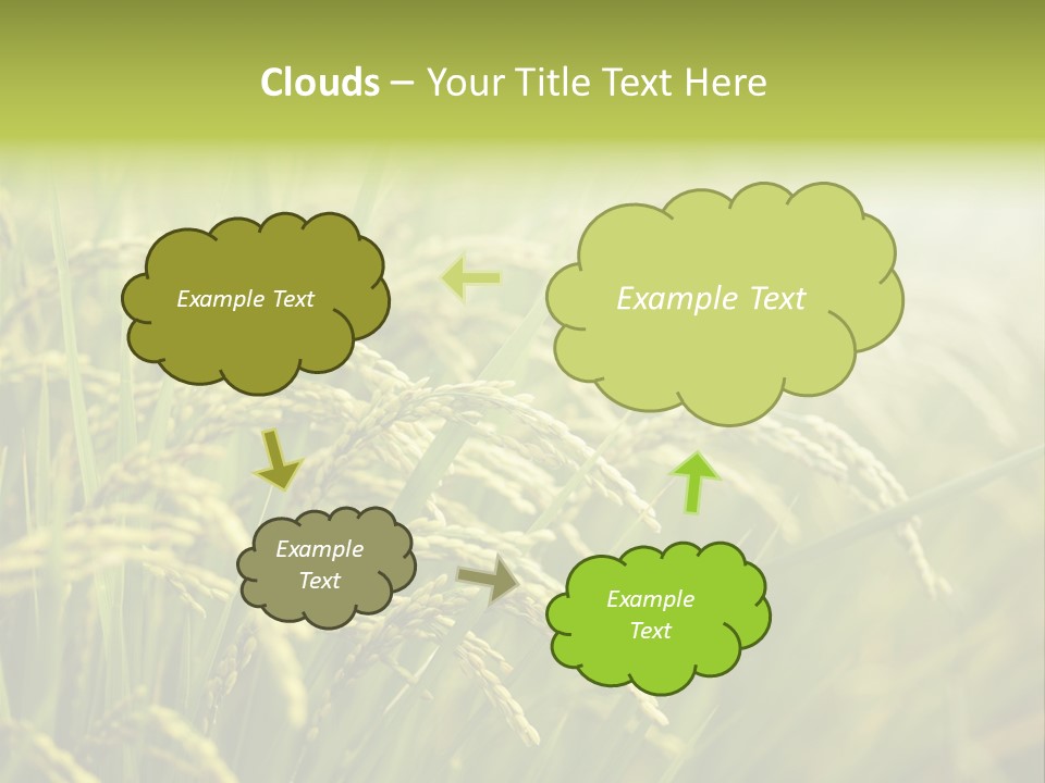 Japanese Leaves Natural PowerPoint Template