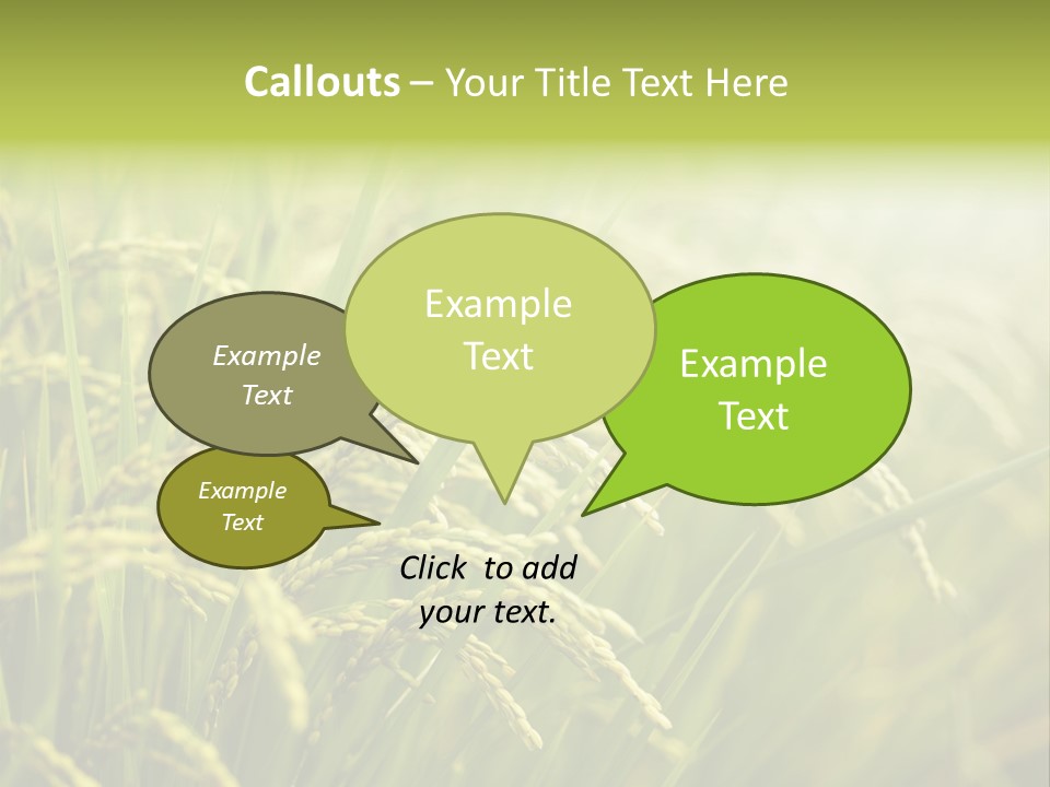 Japanese Leaves Natural PowerPoint Template