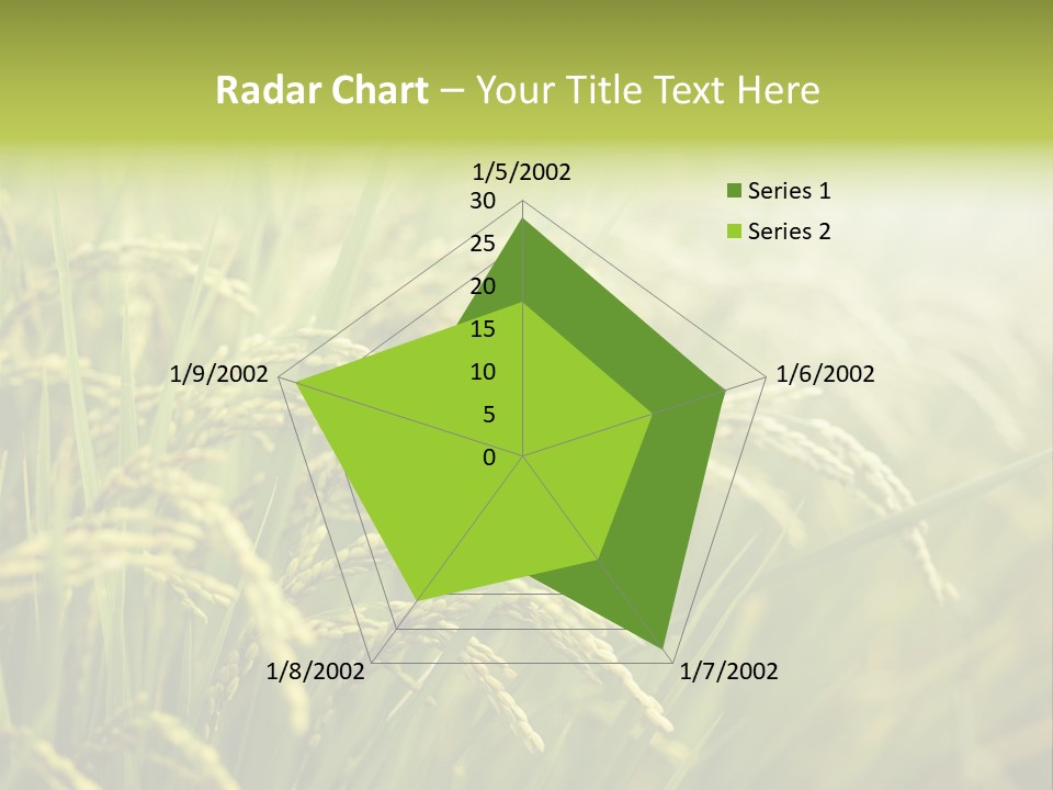 Japanese Leaves Natural PowerPoint Template
