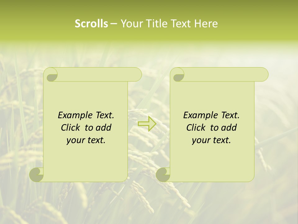 Japanese Leaves Natural PowerPoint Template