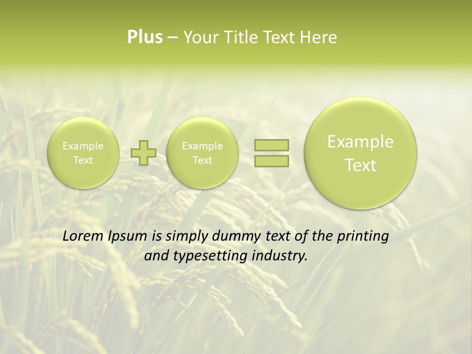 Japanese Leaves Natural PowerPoint Template