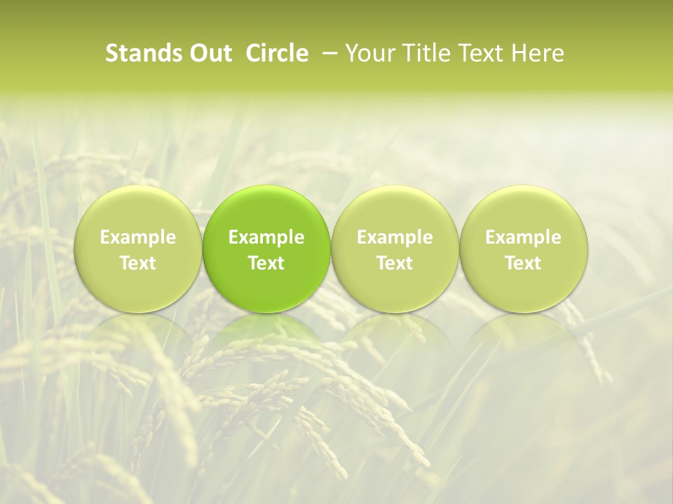 Japanese Leaves Natural PowerPoint Template