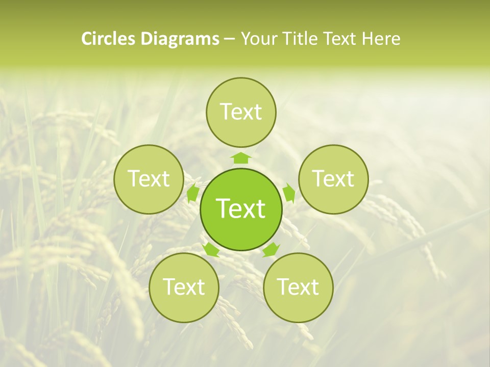 Japanese Leaves Natural PowerPoint Template