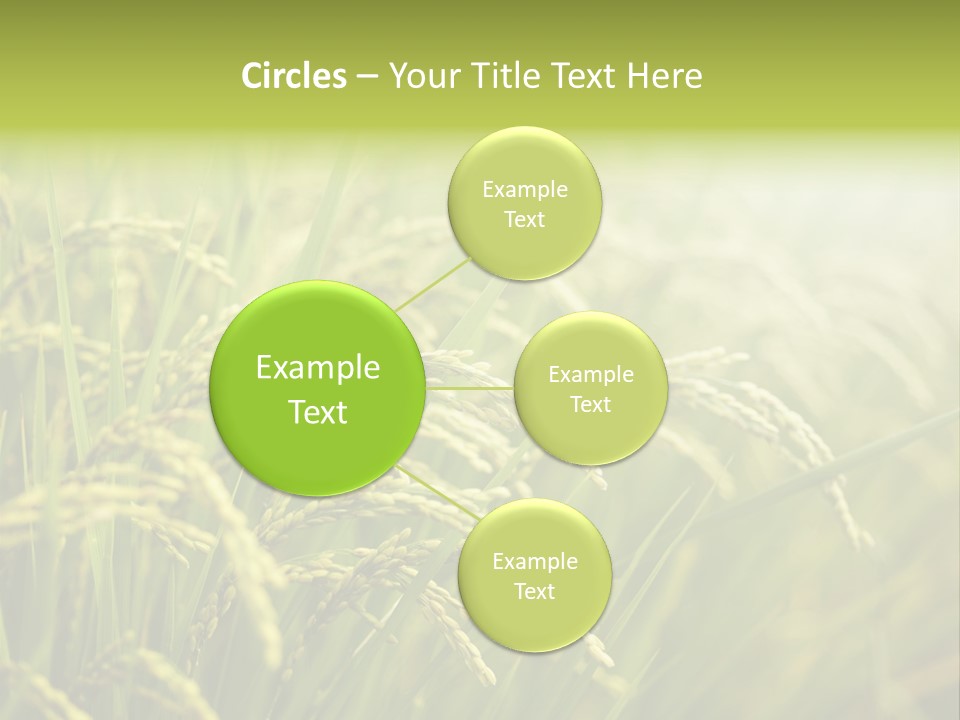 Japanese Leaves Natural PowerPoint Template