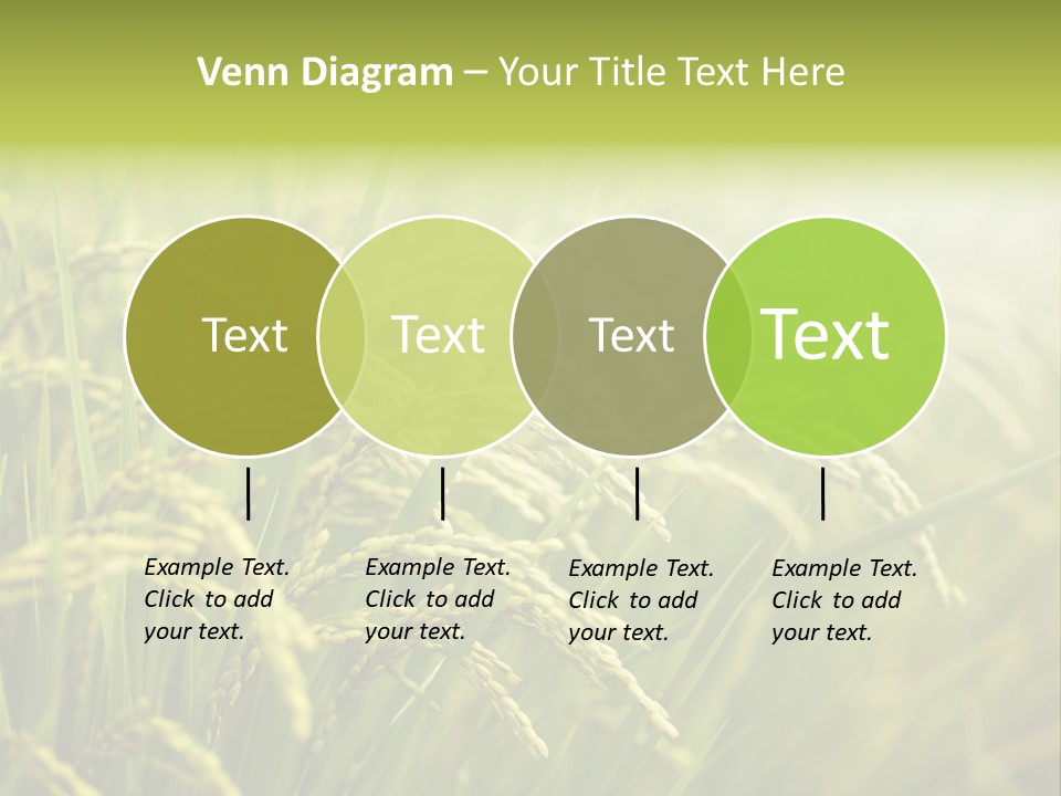 Japanese Leaves Natural PowerPoint Template