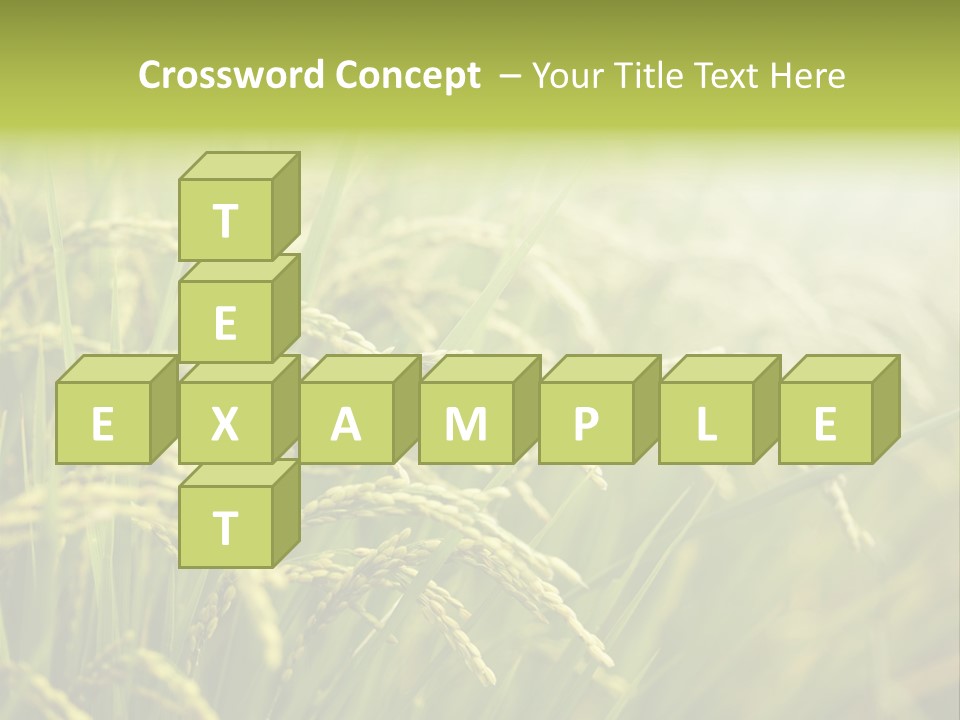 Japanese Leaves Natural PowerPoint Template