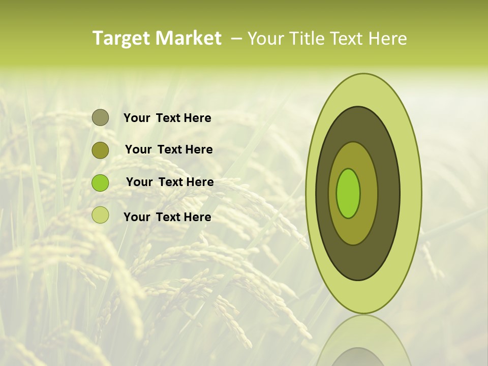 Japanese Leaves Natural PowerPoint Template