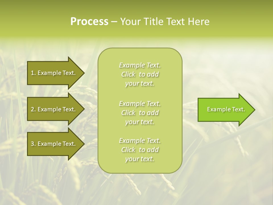 Japanese Leaves Natural PowerPoint Template