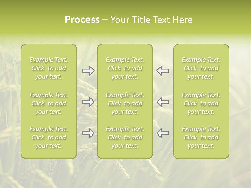 Japanese Leaves Natural PowerPoint Template