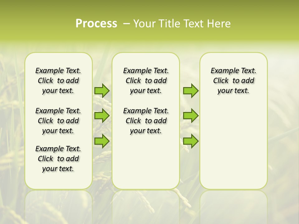 Japanese Leaves Natural PowerPoint Template
