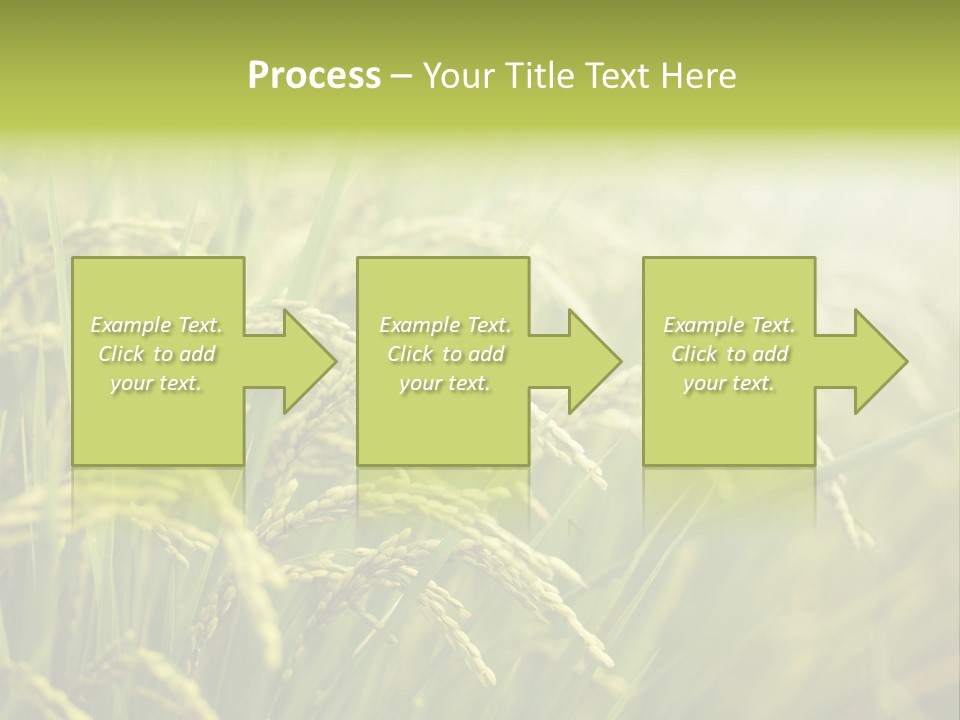 Japanese Leaves Natural PowerPoint Template