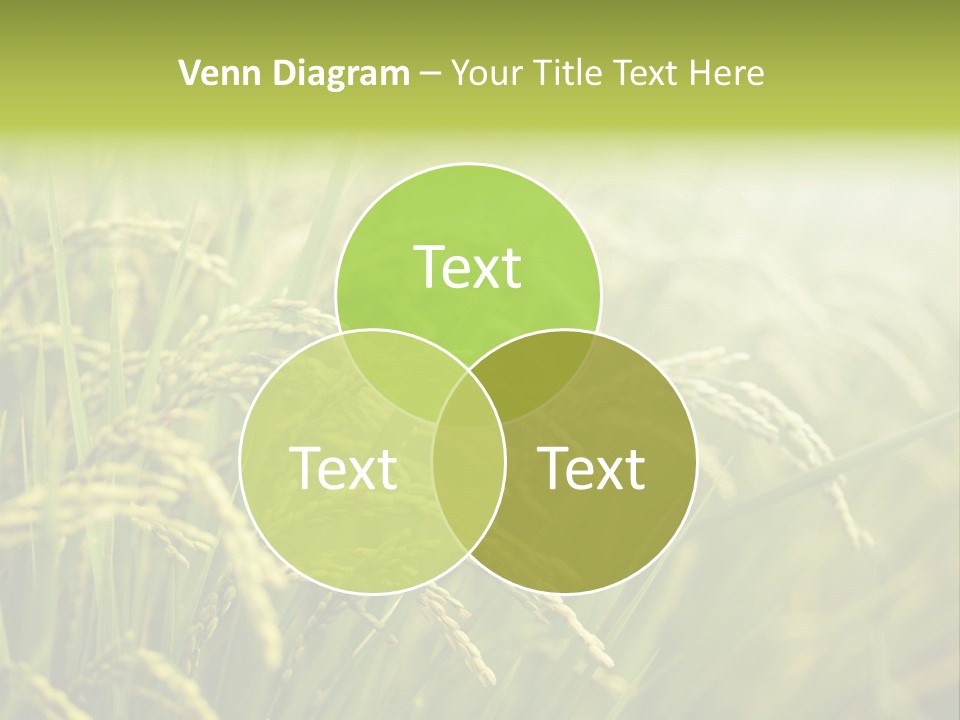 Japanese Leaves Natural PowerPoint Template