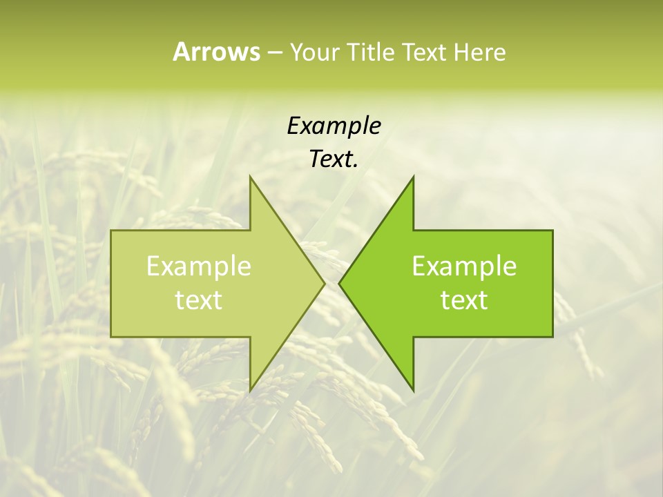 Japanese Leaves Natural PowerPoint Template