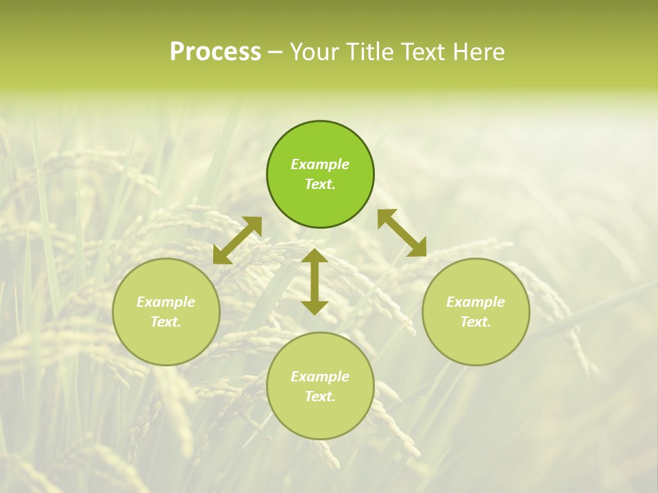 Japanese Leaves Natural PowerPoint Template